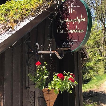 Agroturystyka Pod Swierkiem Сребрна Гура Экстерьер фото