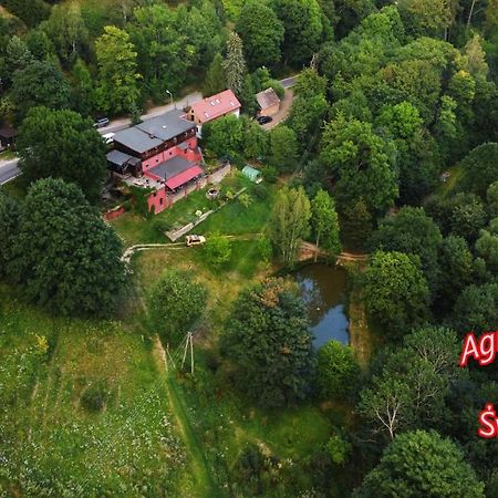 Agroturystyka Pod Swierkiem Сребрна Гура Экстерьер фото